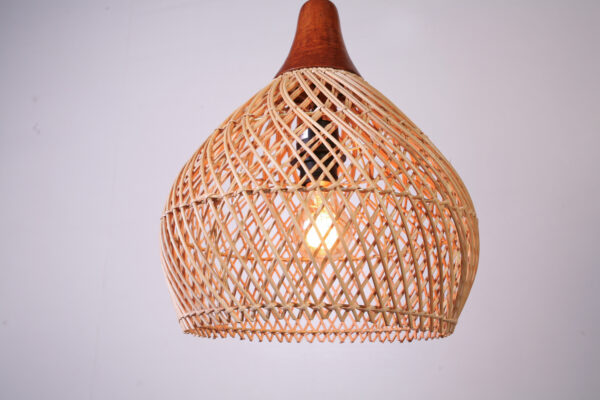 Hanglamp Rotan Sophie met Hout 30 cm